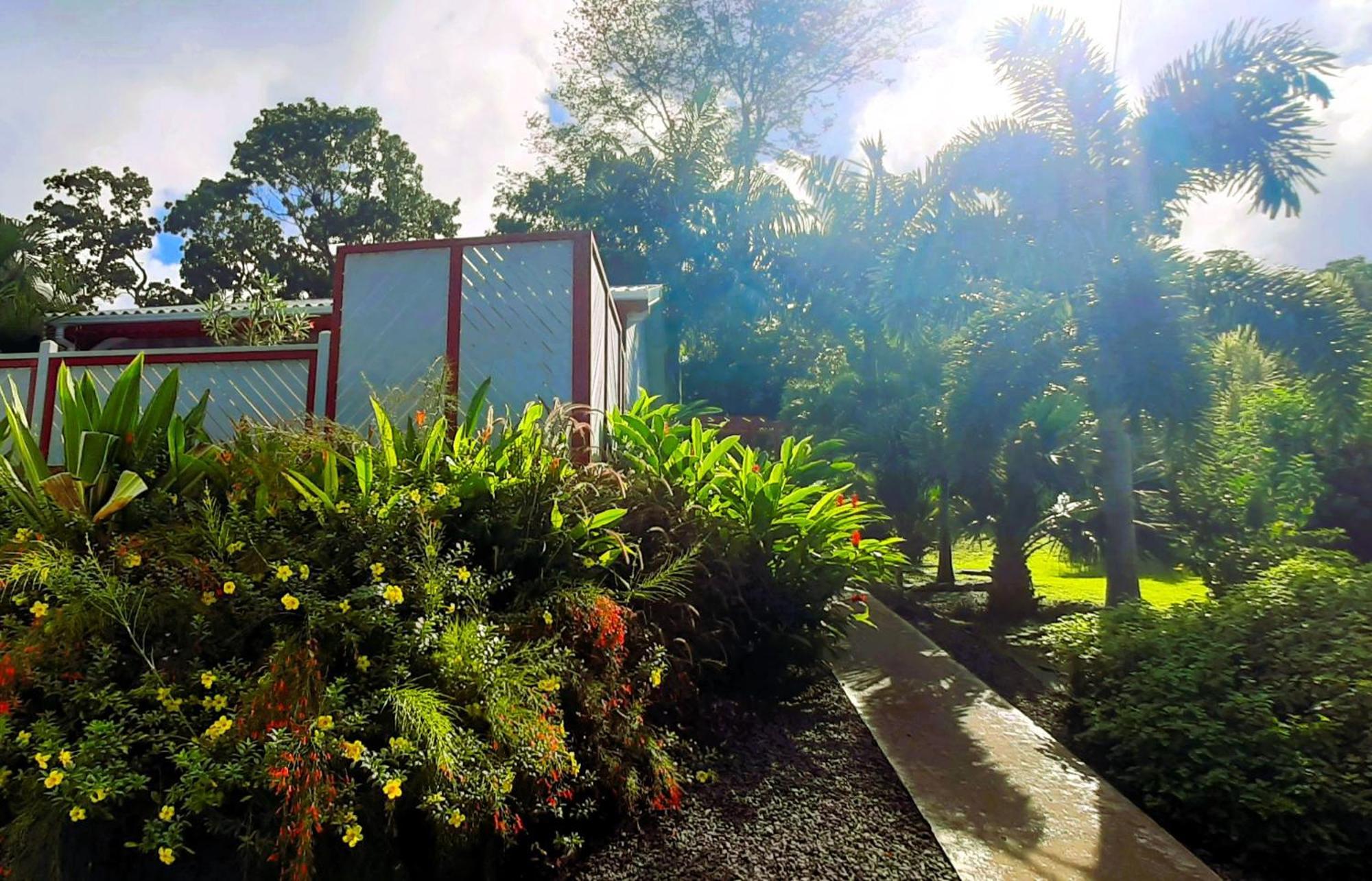 Caraibes Cottage Grenat Piscine Privee 900M De Grande Anse Deshaies Extérieur photo