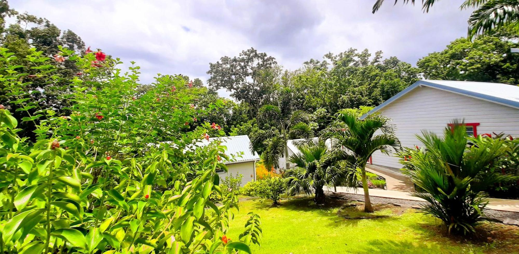 Caraibes Cottage Grenat Piscine Privee 900M De Grande Anse Deshaies Extérieur photo