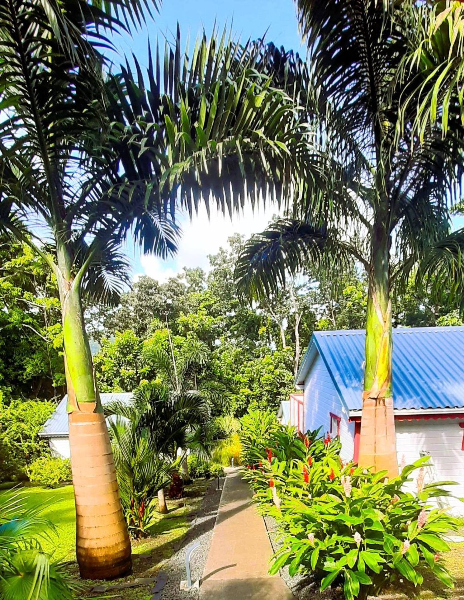 Caraibes Cottage Grenat Piscine Privee 900M De Grande Anse Deshaies Extérieur photo